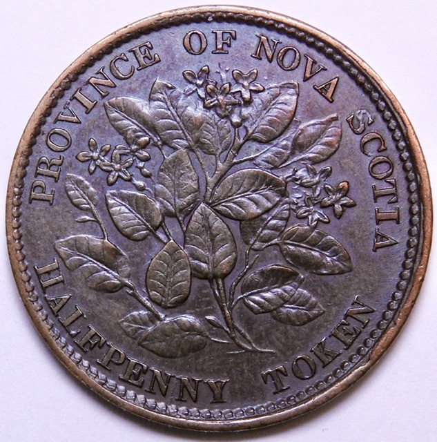 Around-The-World-With-Coins---A-Coin-Geography-Game